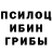Псилоцибиновые грибы мицелий Marya Kisstor